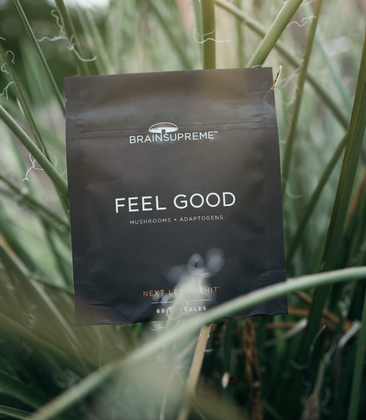 The Feel Good Formula - BRAINSUPREME