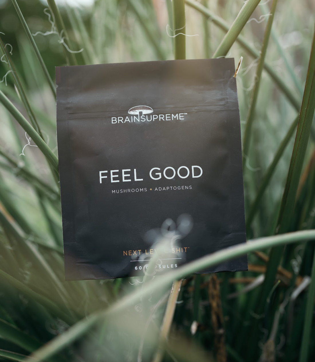 The Feel Good Formula