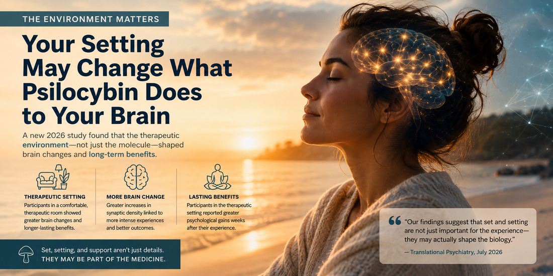 Your Brain Physically Changes After Psilocybin. Here's What Scientists Just Discovered. BRAINSUPREME
