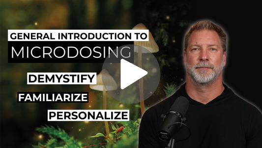 General Introduction to Brainsupreme | Demystify, Familiarize, Personalize