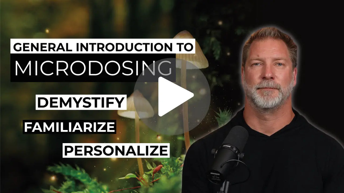 General Introduction to Brainsupreme | Demystify, Familiarize, Personalize - BRAINSUPREME