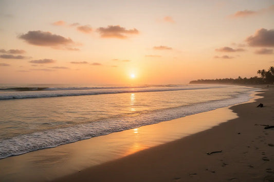 The Science of Focus: Unleashing Your Productivity Superpower! BRAINSUPREME