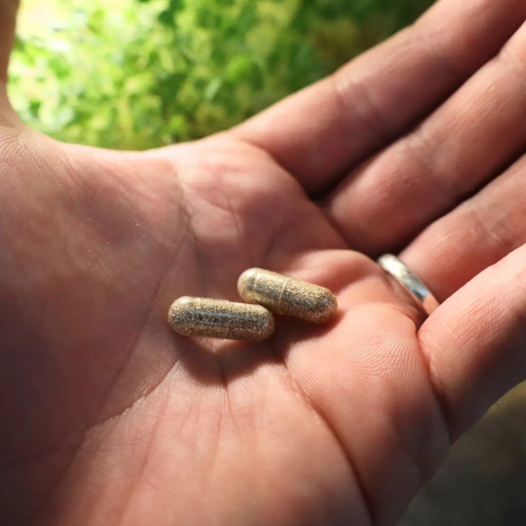 FEEL GOOD - BRAINSUPREME